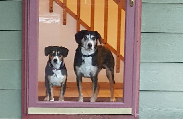 5 Blocks from Main, Private Hot Tub