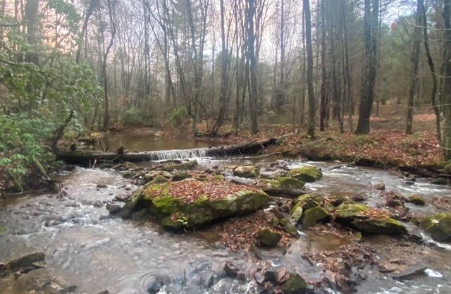 5 minutes to Blue Ridge Parkway, Crabtree Falls, hiking, wineries, breweries