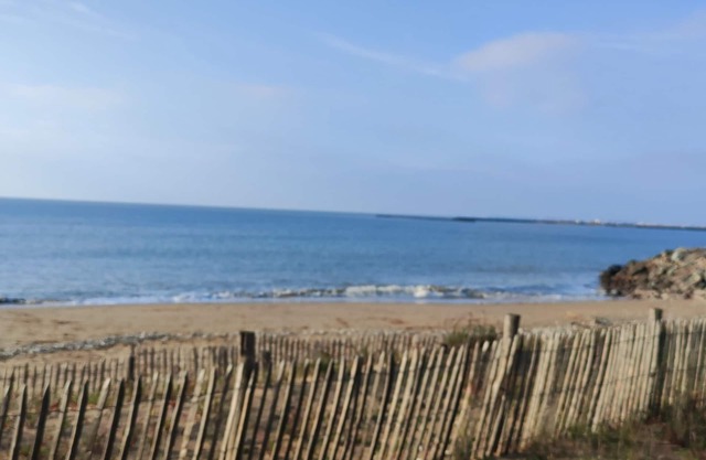 50 m from the seafront