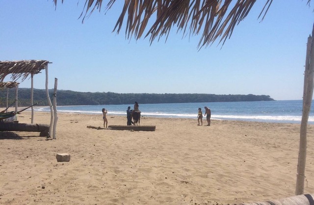 #6 Shared Pool, 3 Bedroom/3 Bathroom, Private beach ramada WIFI SKY