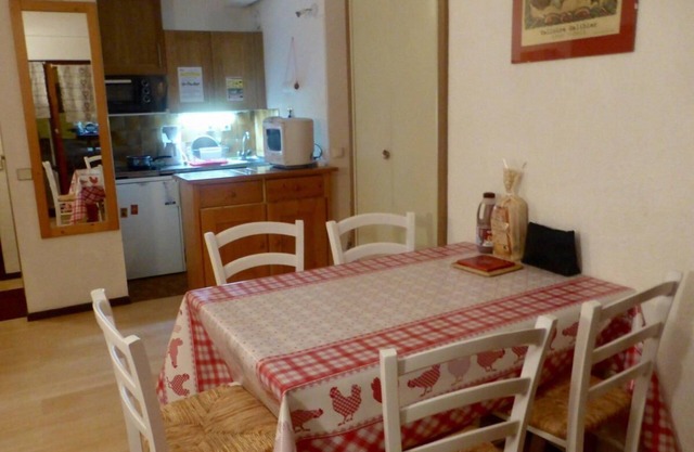 70m from ski slopes, Ground floor, balcony, parking, tv, ski locker, 32m², Valloire