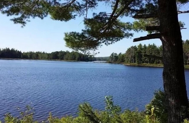 900 sq/ft off-grid cabin nestled on Upper Cranberry Lake. Pet Friendly!