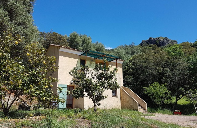 A Casa Di L'Alivu