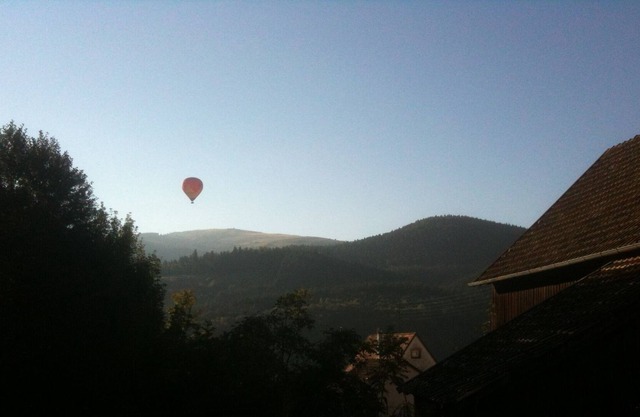 A chalet between vineyards and forests