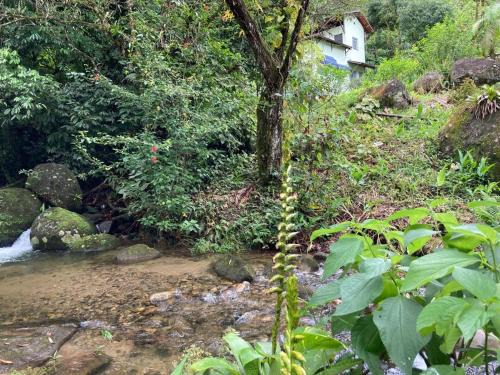 A family house in the woods of Atlantic forest