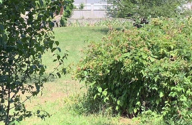 A haven of peace in a green setting