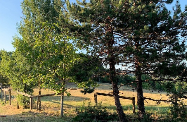 A haven of peace and quiet in the heart of the Tarn countryside.