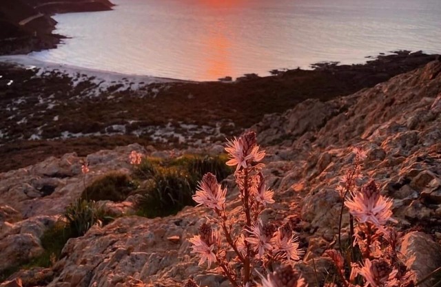 A haven of peace between sea and mountains