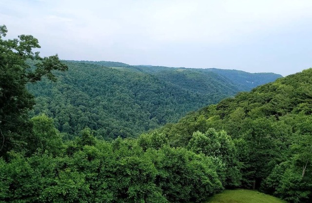 A Private escape just off Parkway at Groundhog Mountain