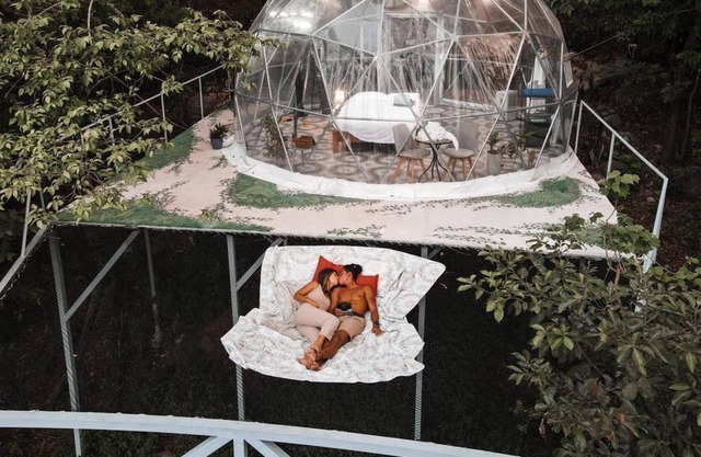 A TRANSPARENT DOME IN THE JUNGLE