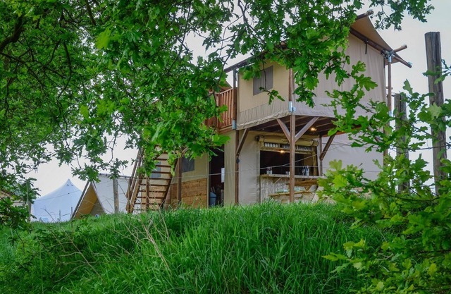 A treehouse tent with an 'unbelievably' beautiful view over the Regge River in Twente