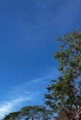 Aconchego do Vale - Hospedagem tipo Pousada