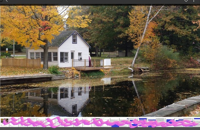Adorable Cottage Townline Lake Paradise. Boat Kayak Fish (Lots!) BBQ Relax Swim