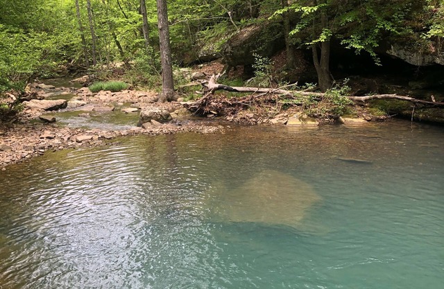 Adventure Awaits at the Deer Trails Cabin!