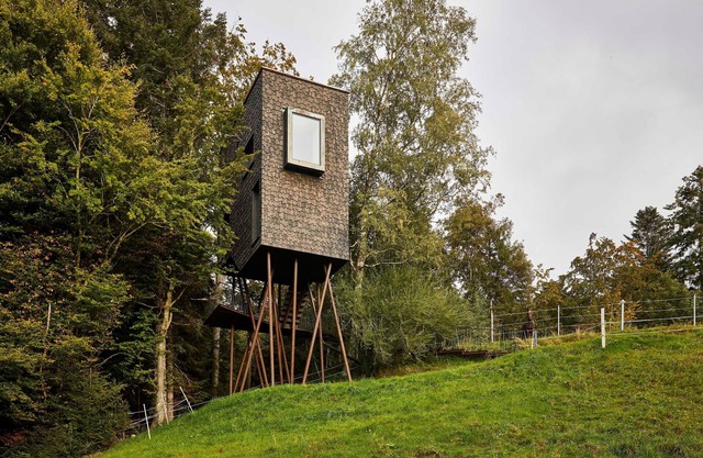 Adventure tree house, Baldauf family - Tree house