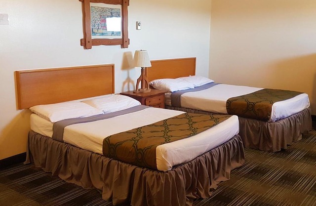 Agassiz Park Lodge - Under New Management