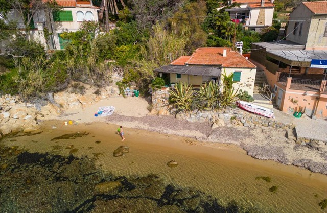 Agave direclty on the beach - Goelba