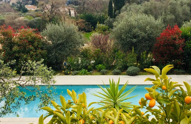 Air-conditioned artist's house 160 m2 quiet swimming pool olive trees between sea and hills