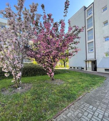 Al-dom Apartamenty Apartament II Mare 500m do morza