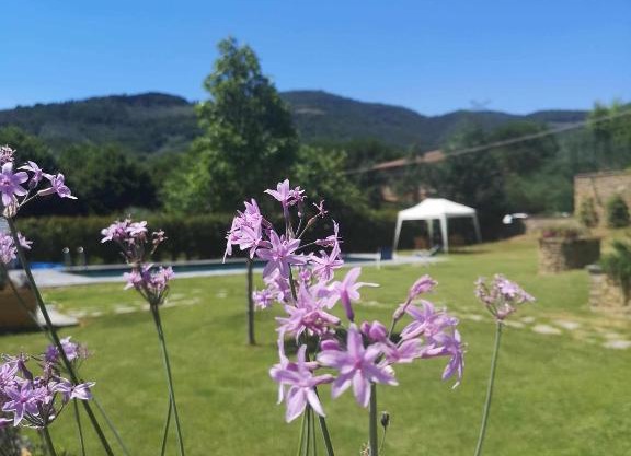 Alba Morus Bed & Breakfast sentiti a casa nel cuo