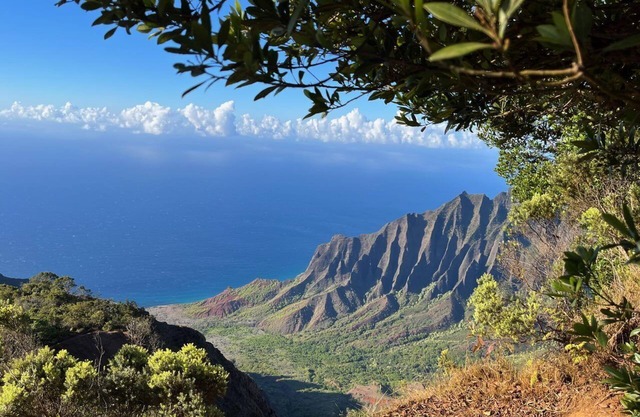 Albatross Ohana~Top location~3 bedroom house w/loft, waterfall views~ small pet