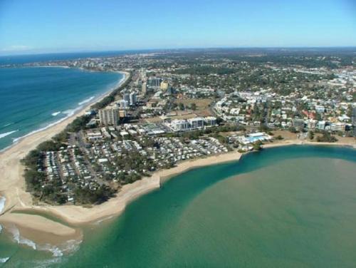 Alby’s - Cotton Tree