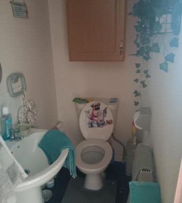 Alex s bed and breakfast