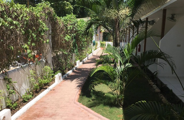 Alona Gecko Inn
