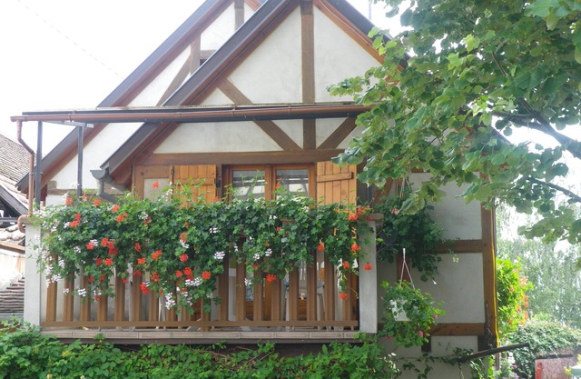 Alsace style timber framed house