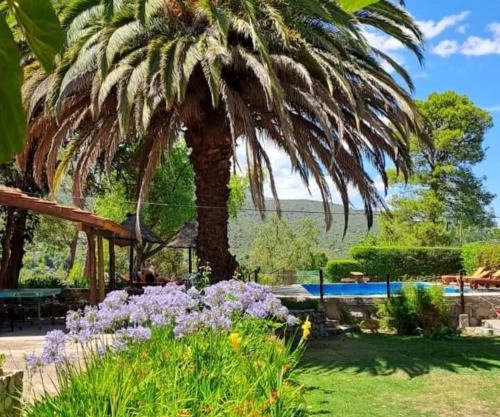 Alta Montaña Hosteria&Apart