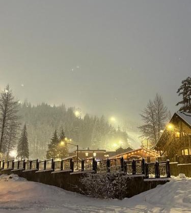 Alyeska Mountain Side Retreat!