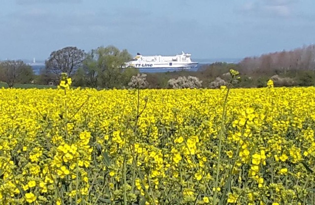 Am Pool und Strand 8