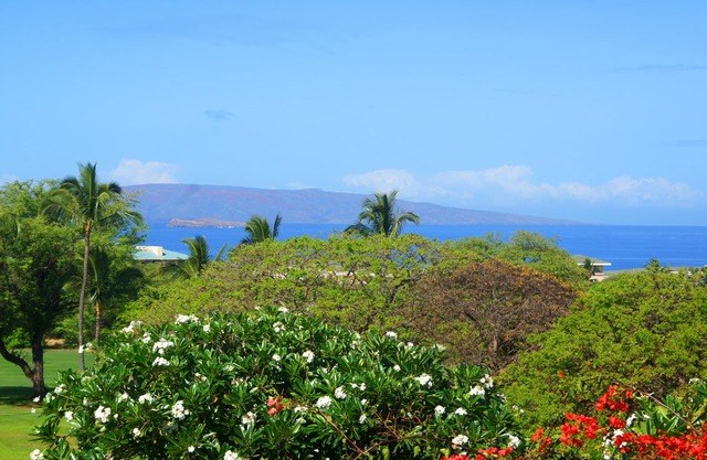 Amazing Oceanview! Wailea Ekolu 1BR/2BA - Walk to Golf!