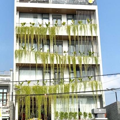 Amely Hotel