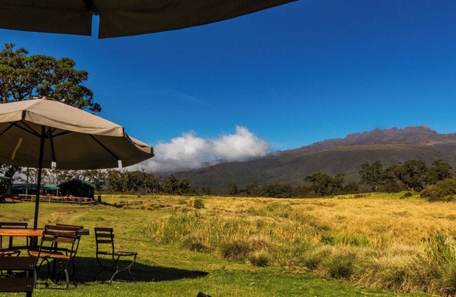 Anabas Mount Kenya Lodge