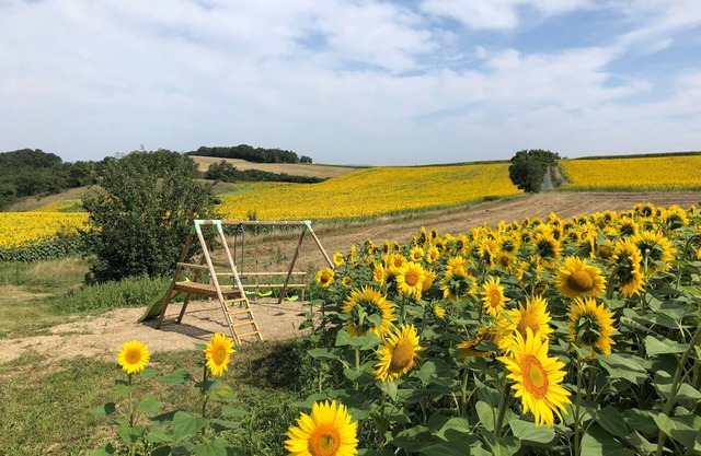 Ancien Corps de Ferme au Milieu des Tournesols