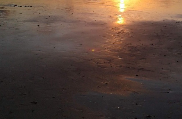 APART. 300m from the BESSA SEA, up to 7 PEOPLE - COME, SUMMER IS HERE!