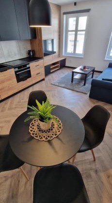 Apartament Książ