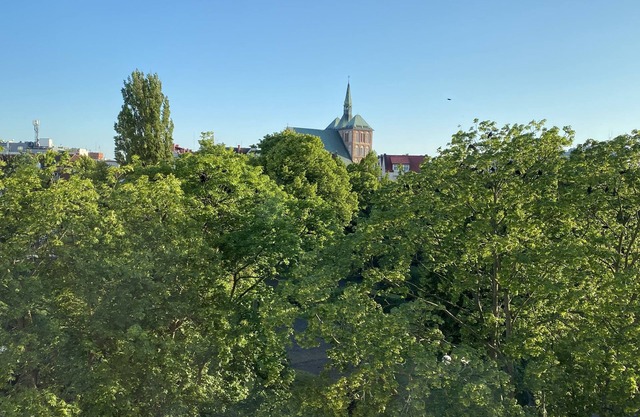 Apartament w Centrum