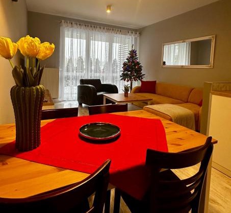 Apartament z widokiem na Szyndzielnię