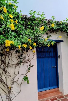 Apartamento Colonial Puerta Azul