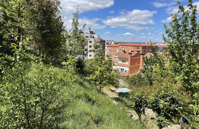 Apartamentos Aljama