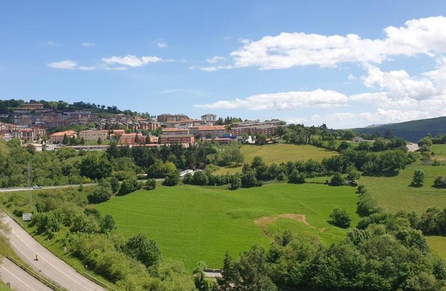Apartamentos La Panerona