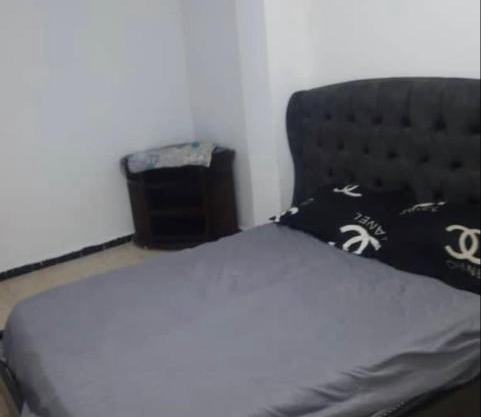 Apartement T3 salamandre