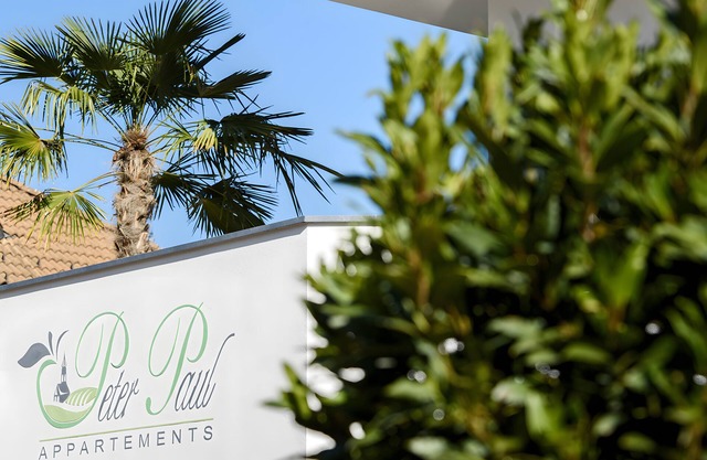 Apartment 'Peter Paul Terrasseapp Burgenblick' with Mountain View and Terrace