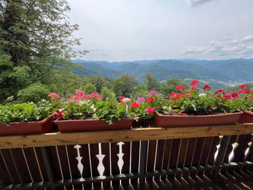 Apartma Mohorič