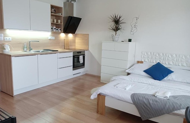 Apartman Bystrc