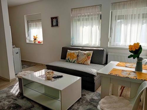 Apartman Nera