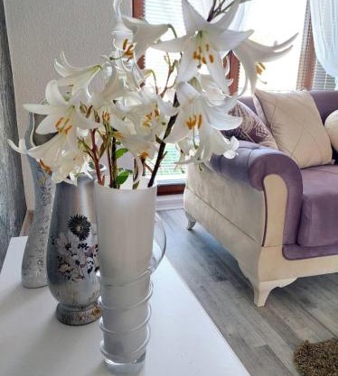 Apartman STARI GRAD