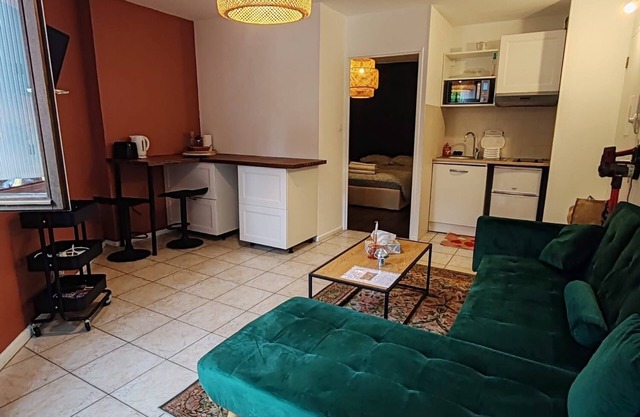 Apartment 32m2 with balcony TOULOUSE RANGUEIL near university, hospital